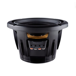 Alpine R2-W10D2 25 cm (10-Zoll) R-Series Subwoofer mit 2 Ohm Doppel-Schwingspule – R2-W10D2-03 CPII
