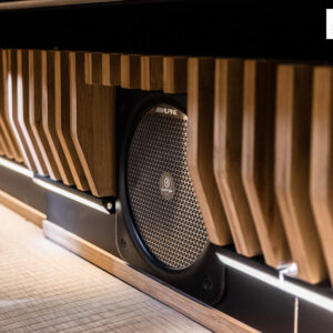 Alpine SWC-D84L Adventure Audio In-Cabin Subwoofer – SWC-D84L-03 CPII